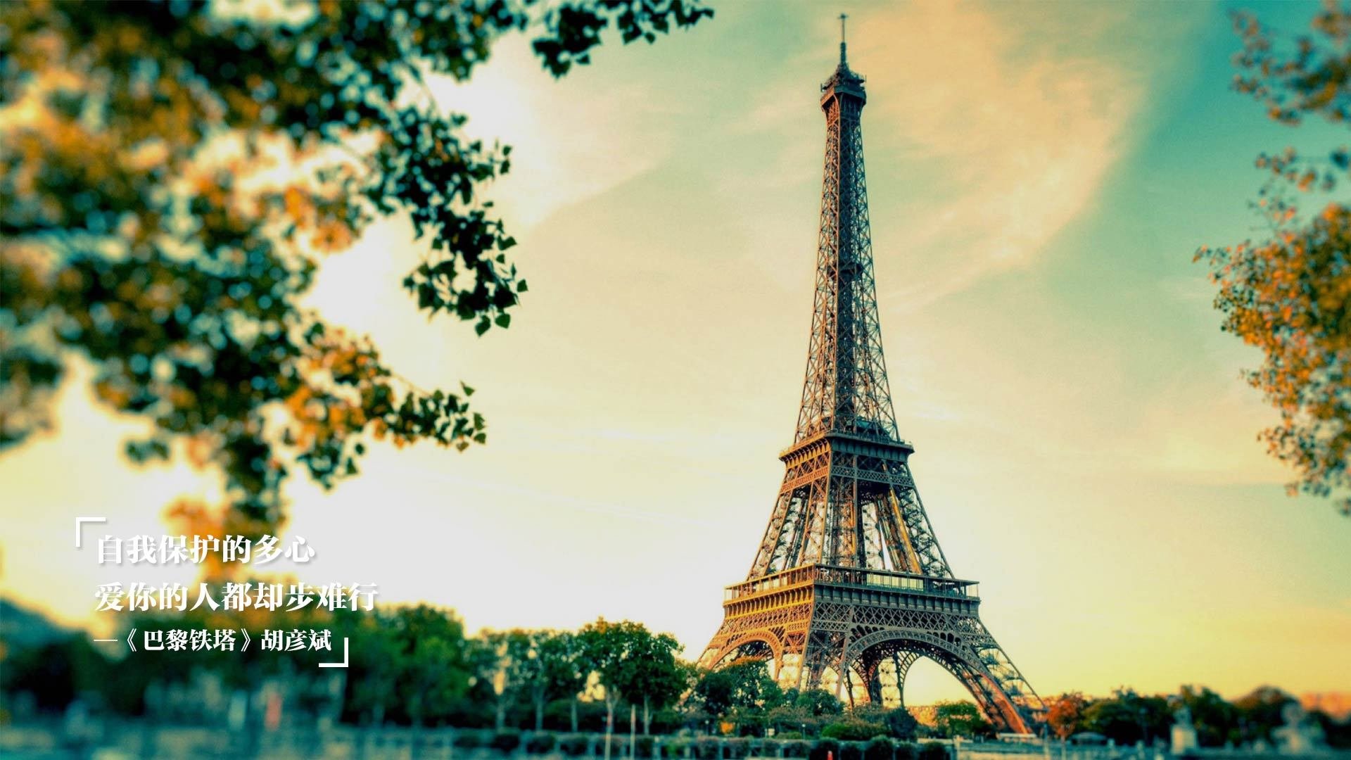 开云·Kaiyun网页版-WRC赛段路线揭秘：从山路到海岸线的极限挑战，wrc比赛路面