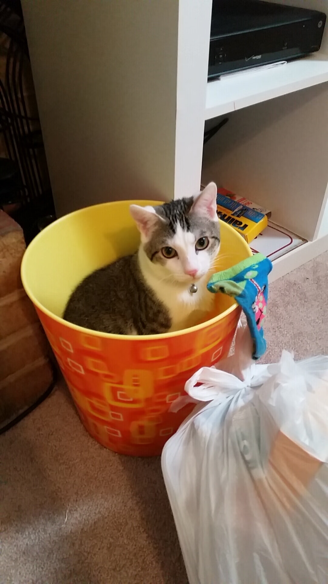 开云官方网站-_布鲁克林街舞赛：青春街头文化典范_，布鲁克林的街区