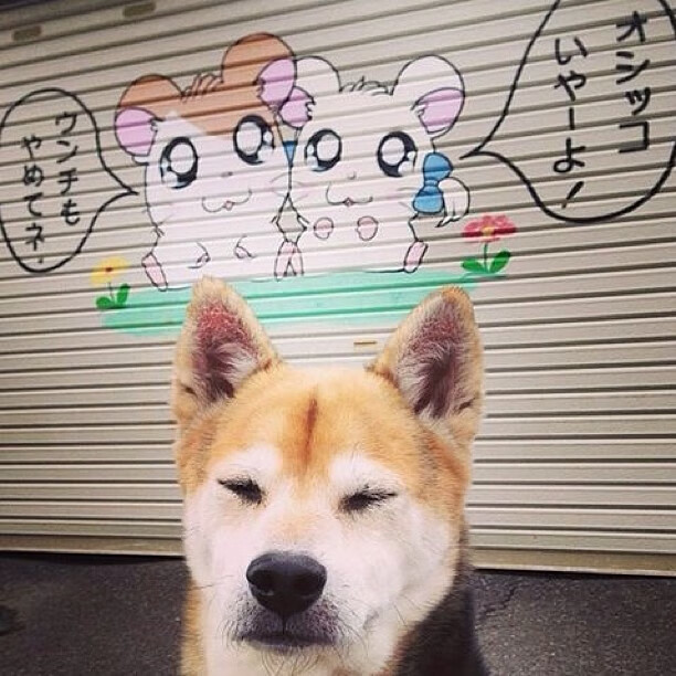 开云入口-“西甲焦点对决：明星爆发，场面火爆”，西甲看点