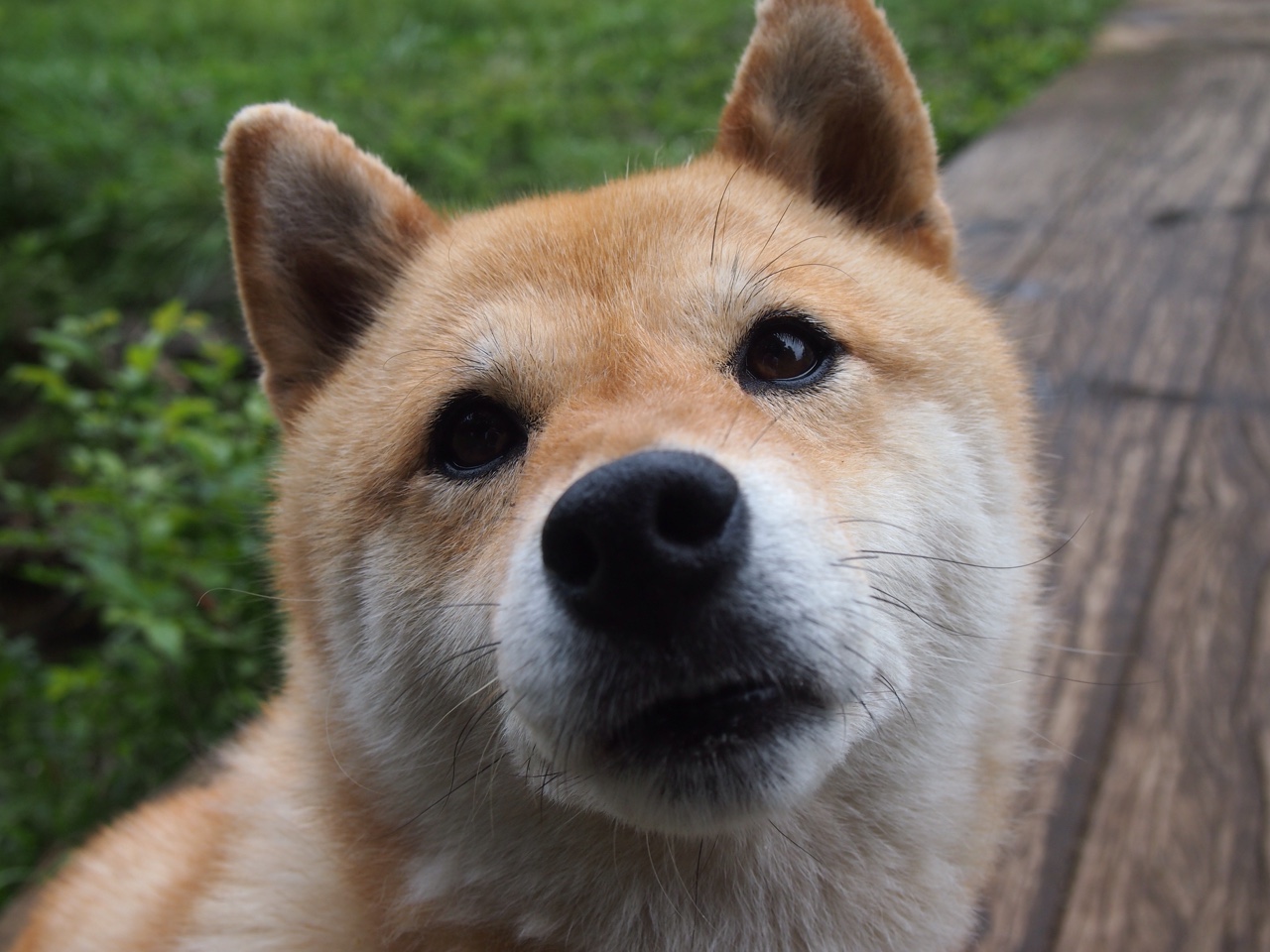 开云平台-切尔西胜亚特兰大，成功晋级下一轮比赛，切尔西最新比赛