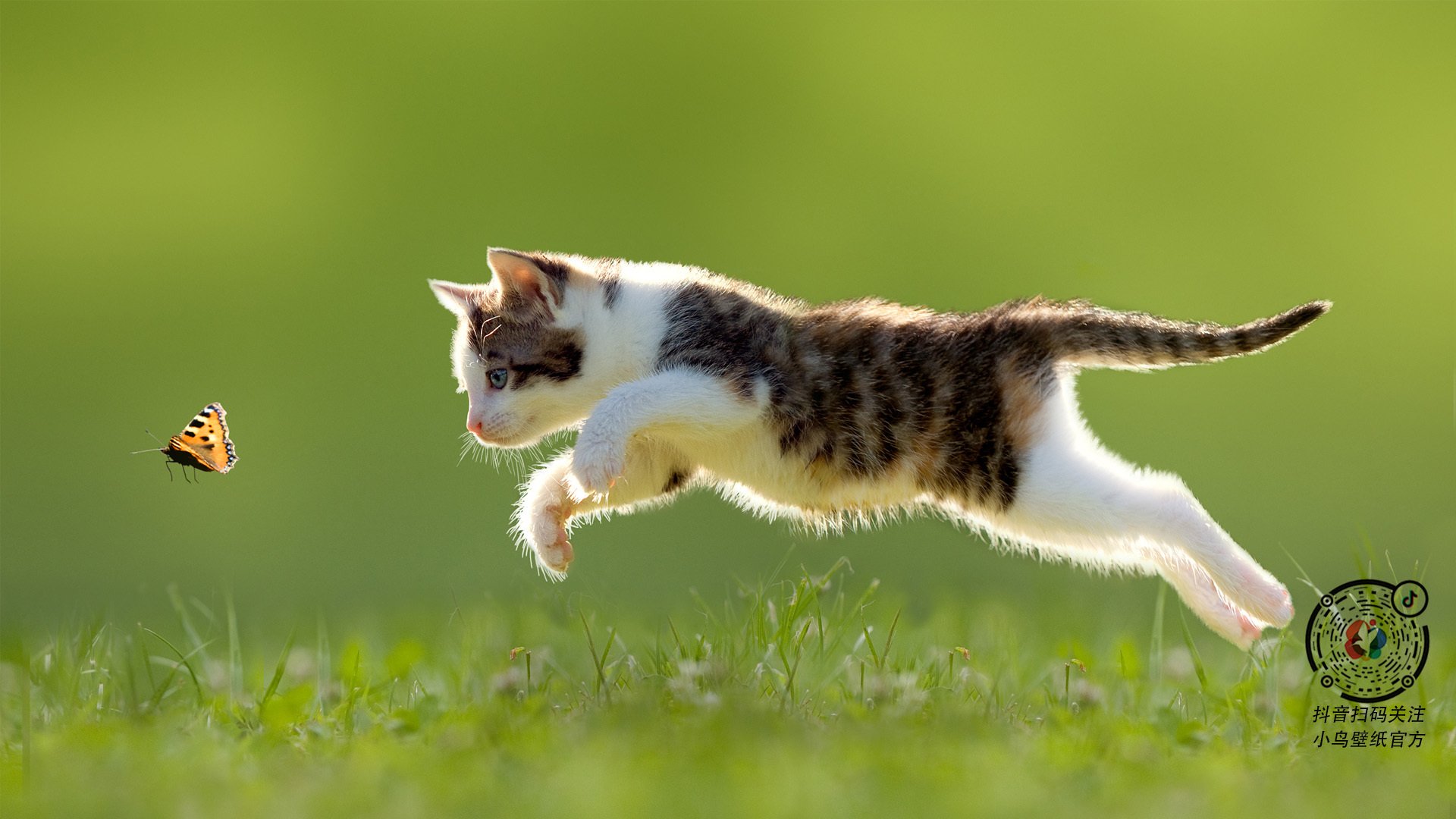 厦门蓝狮队在比赛中陷入困境,寻求突破,厦门蓝狮足球队成员