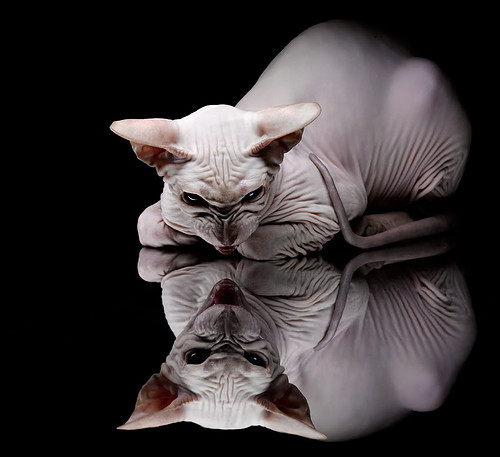 开云网页版-掘金二线队主力球员伤情更新，掘金2号球衣