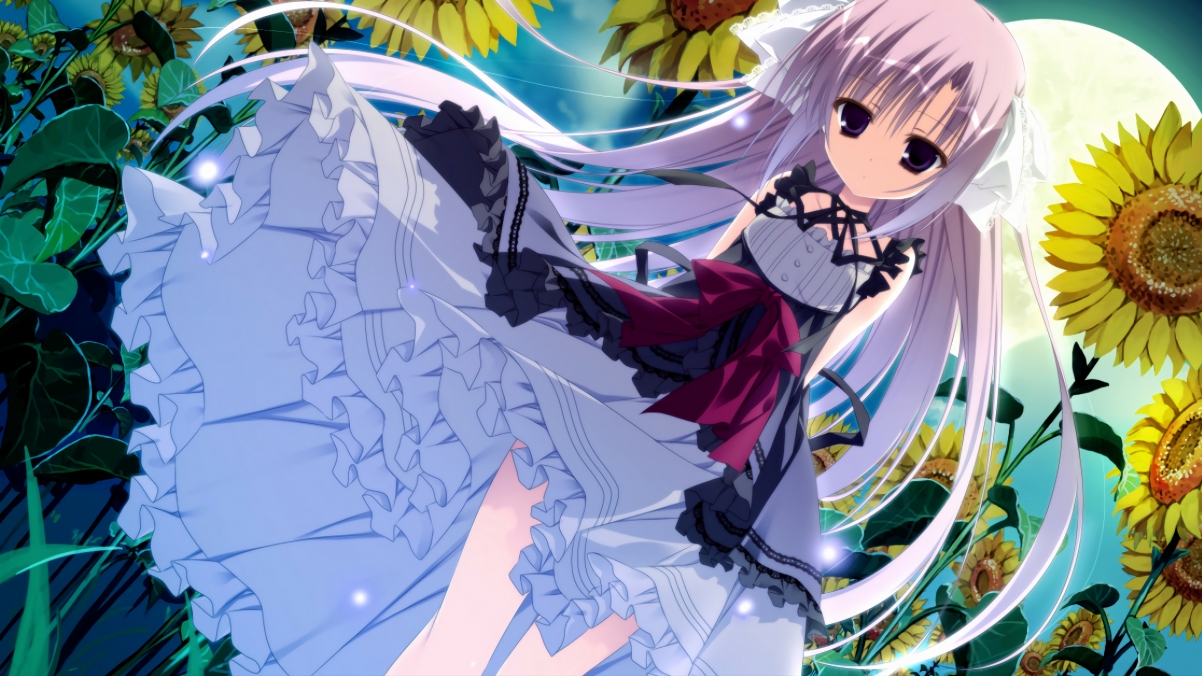 开云平台-比尔低迷奇才不敌猛龙，比尔dub