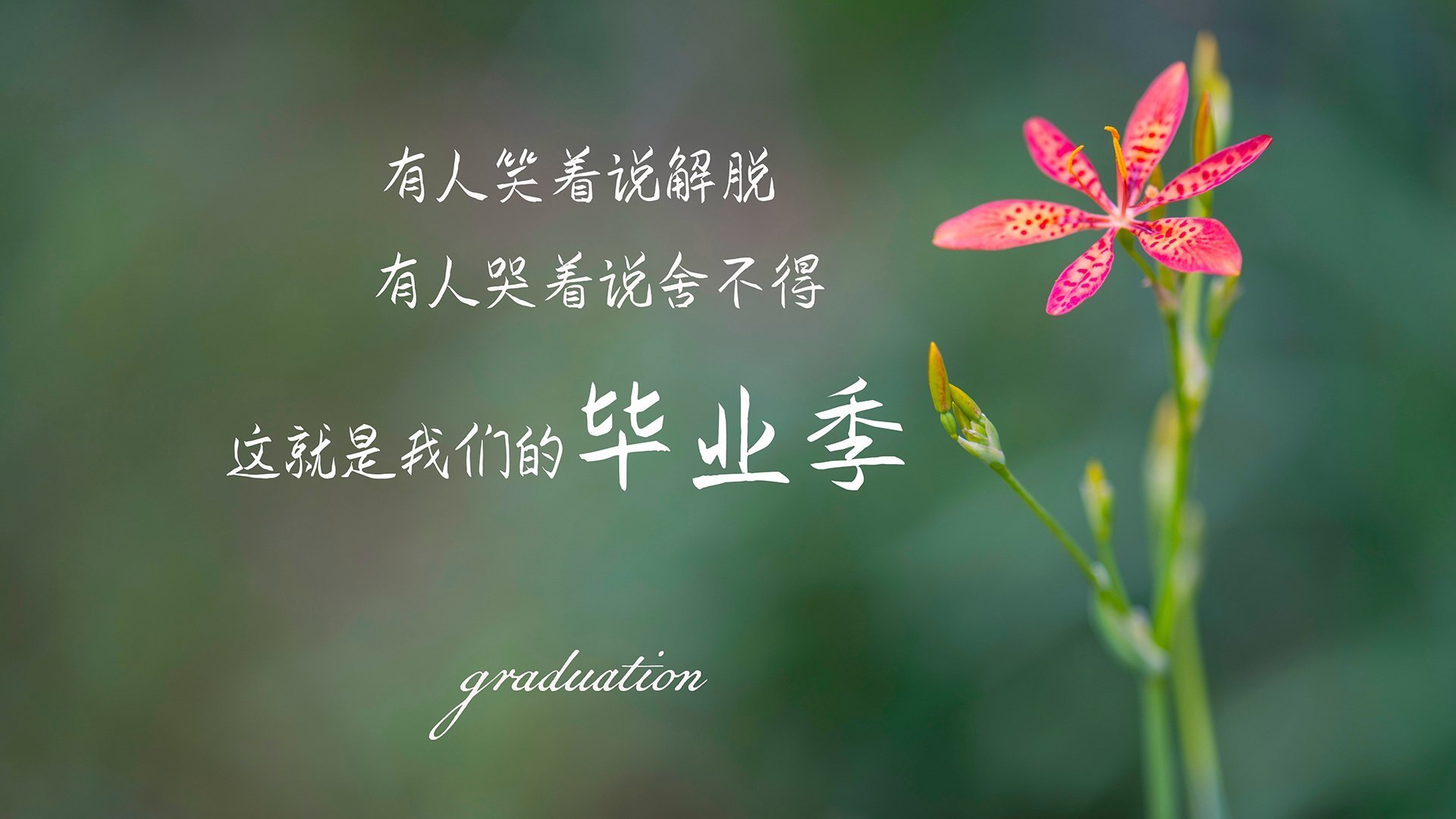 开云·Kaiyun网页版-英格兰队大胜安道尔，实现全胜战绩，英格兰vs安道尔在线直播