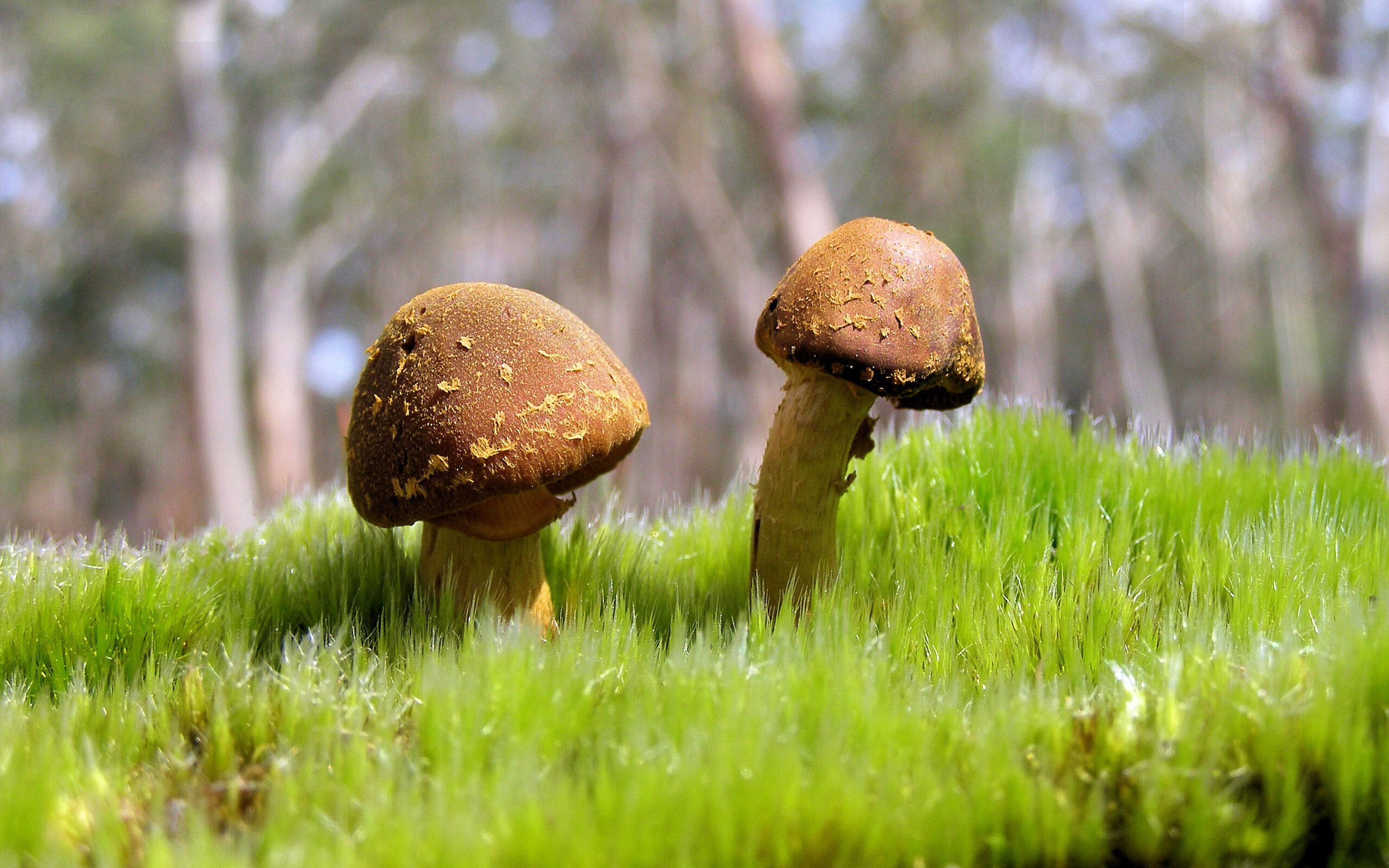 高校体育活动参与度与学生满意度调查,高校体育活动参与度与学生满意度调查报告