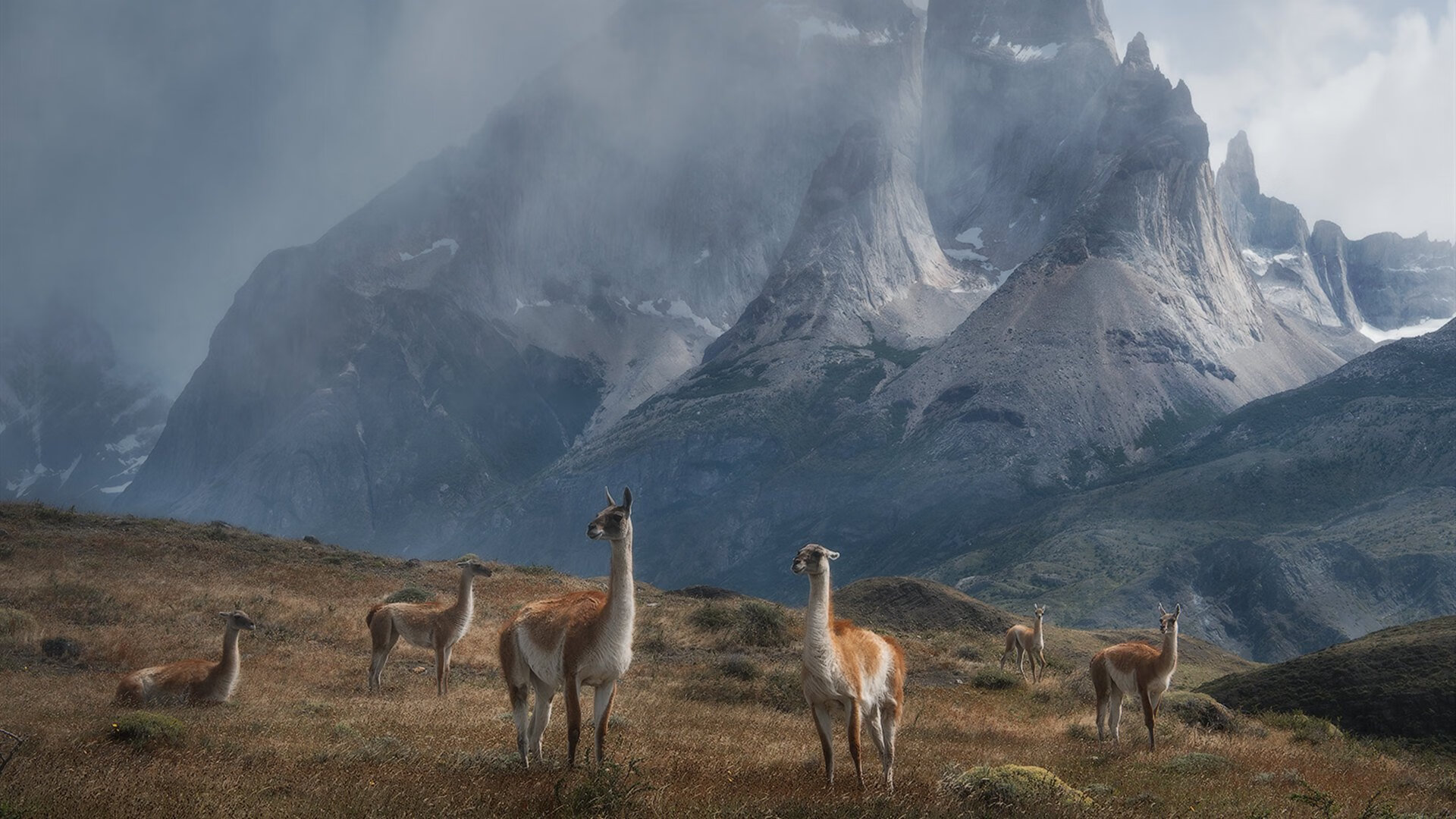 开云体育全站-麦克沃伊起跳精准 稳定领游全程，麦克沃伊游泳